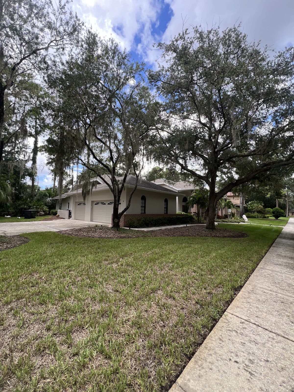 Side view of a freshly painted home under live oaks